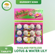 THAILAND FERTILIZER FOR LOTUS &amp; WATER LILY ( 12 TABLETS ) BAJA TUMBUHAN AIR N-P-K 10-25-20