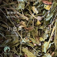 健康草本-小金英 兔兒草 兔兒菜 小本蒲公英