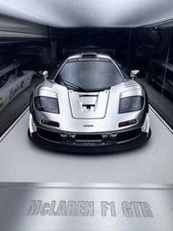 Davis & Giovanni DG 1:18 McLaren F1 GTR Resin Model