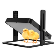 WONEGG Chicken Brooder Heater Adjustable Temperature 10x10 Inch for Chicks