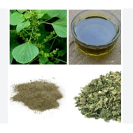 Indian nettle leaves dry / powder (Acalypha indica) Kuppaimeni Mercury, Indian Copperleaf three-seed
