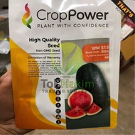 Benih Tembikai Madu Black Gem Hibrid F1 WM515 Crop Power (20gm)