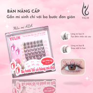 Mi giả YULIN mi giả bản nâng cấp mẫu ABA với ba bước để có hàng mi đẹp