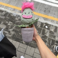 Jellycat 仙人掌毛絨玩具