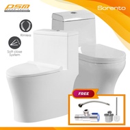 Sorento One Piece Water Closet Wash Down Flushing System Bathroom WC Package SRTWC287-RL / SRTWC8317