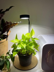 led grow light for houseplant 植物生長燈 補光燈 魚缸燈 水族燈