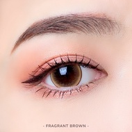 คอนแทคเลนส์🌈Fragrant🌈 Brown / Gray (Kitty Kawaii) ขนาดบิ๊กอาย💖 💖