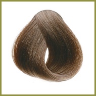 ✼ ∏ ◷ Bremod Haircolor 6.31 (Golden ash blonde)