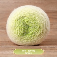 MAIXIANXIAN | DIY Crochet Kit Gradient Rose Flower Blanket