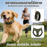 Young Lady Dog Collar Long With Surrender Can Be Used