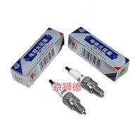 Motorcycle Torch Electric Spitter Spark Plug 100/110/125/150 Spitter A7RTC/B7RTC/D8RTC Spitter
