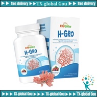 【BUY 3 FREE 1】KidGlow H-GRO Nutritional Height Booster Calcium Nutritional Height Booster Calcium EX