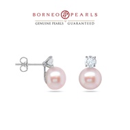 Borneo Pearls House of Pearls Earring Collection