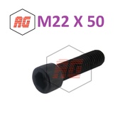 L-BOLT / HEX SOCKET HEAD CAP SCREW M22 X 50