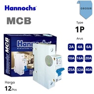 WHOLESALE (12Pcs) MCB 2A/4A/6A/10A/16A/20A/25A/32A/40A 1P HANNOCHS 1 Phase MCB/ Original