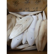 Cuttlefish Bone Calcium Supplement Grinding Mouth Punching
