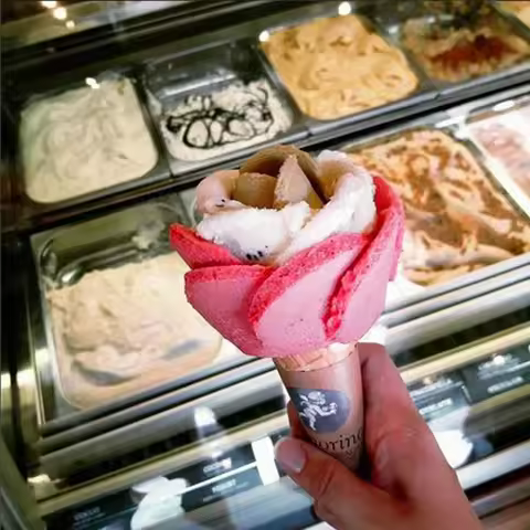 Mini Ice Cream Display Freezer Fridges Popsicle Gelato Ice Cream Display Cabinet Ice Cream Display s