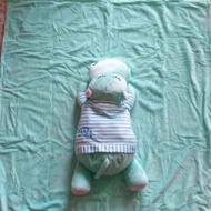 Nan 2in1 blanket and pillow set