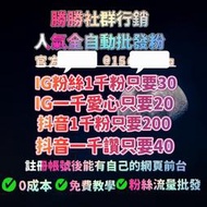 Instagram 台灣粉絲 IG粉絲 IG讚 IG買粉 買粉 IG粉 FB粉 IG追蹤 IG關注 IG愛心