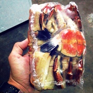 FRESH BROWN CRAB IRELAND
