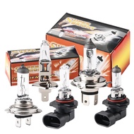 1PCS Halogen Bulbs Lights H1 H3 H4 H7 H8 H11 9006 9005 Fog Light Bulbs 12V 55W 65W Cars Auto Headlig