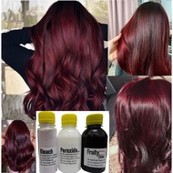 (FREE bleach set) Direct red wine Hair Color Kit (10minutes )100ml+Free Bleach&Peroxide(100ml) dye m