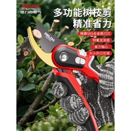 Pruning Shears Branch Shears Delisi Shears Pruning Shears Fruit Tree Pruning Gardening Flower Shears