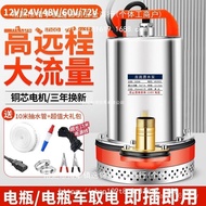 Cast Iron Submersible Pump Water Pump Household 12v24v48v60v72v Water Pump Agricultural Pump DC Irri