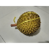 Durian TOY RUBBER durian FRUIT SIMILAR TO THE ORIGINAL / rubber durian toy that looks like the origi