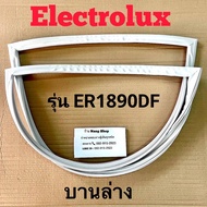 ขอบยางตู้เย็น Electrolux รุ่น ER1890DF (2 ประตู)