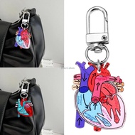 CH* Educational Heart Keychain Charm Featuring Human Anatomy for Science Enthusiasts