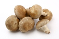 有機厚鮮香菇6盒免運組 200g(6-8朵)*6盒