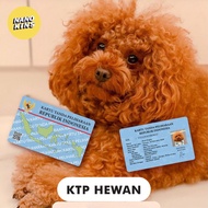 KTP Hewan | Nanokins Custom Flazz & Emoney | ID Card Kartu Binatang