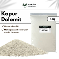 Kapur Dolomit - Pupuk Dolomit Untuk Tanaman Hias / Dolomit Reptil