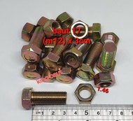 (paket 50 sst) baut 17 (12mm) x 3cm + mur