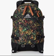 Gregory all day pack Backpack