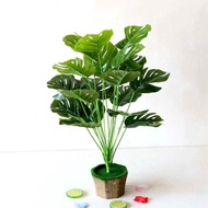 Pokok Plastik Fiddle Fig Untuk Hiasan Rumah