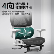 Taichang Ergonomic Leisure Ergonomic Chair Sedentary Chair Office Chair Mesh Chair Ergonomic Compute