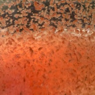 Daphnia Magna Pemula(Fish Food)