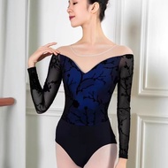 Ballet Practice Clothes Dance Clothes Aerial Yoga Clothes Bodysuit