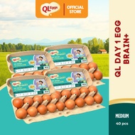QL Brain+  Day 1 Egg - Medium 40pcs Fresh Egg Farm Fresh Egg Telur Segar