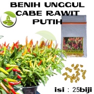 Benih Cabe Benih Bibit Cabai Rawit konsumsi Benih cabe merah besar keriting rawit hijau
