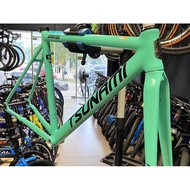 Tsunami Alloy Frame Fixed Gear Fixie