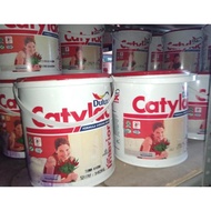 - cat interior catylac dulux 5kg '