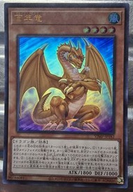 遊戲王 ，VJMP-JP182