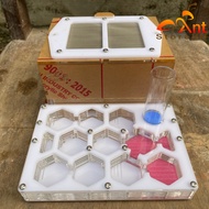 Ant Tank, ant cage, ant house, ant nest, ant cage, Formicarium