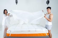 P&M Studio : NEW ARRIVAL! ท็อปเปอร์ ขนห่านเทียม ขนาด 5 ฟุต / Aquaplush  Queen Size Mattress Topper 5