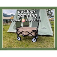 Outdoor Trolley Camping Trolley Foldable Wagon Trolley Camping Wagon Tool truck portable Shopping Tr