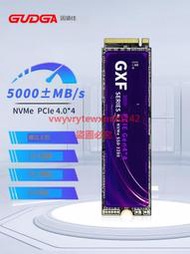 創銘優品 固德佳GXF M.2 NVMe PCIe4.0*4 M2 PS5固態硬盤SSD 512G 1TB 2TB