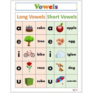 Laminated Chart Vowels, Educational Laminated Laminated charts for kids (size 8.5 x 11 inches) Educa